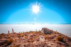 Från La Paz: Uyuni Salt Flat och Incahuasi Island Tour