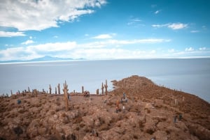 From La Paz: 3-Day Uyuni Salt Flat and Incahuasi Island Tour