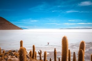 Von La Paz aus: 3-tägige Tour durch die Salinen von Uyuni und die Insel Incahuasi