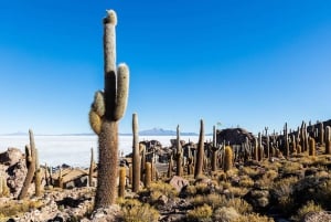 Au départ de La Paz : circuit de 3 jours dans le désert de sel d'Uyuni et au volcan