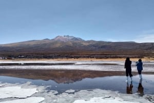 Au départ de La Paz : circuit de 3 jours dans le désert de sel d'Uyuni et au volcan
