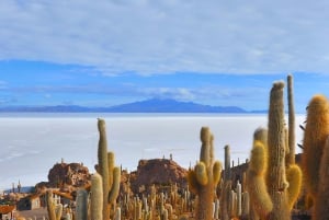 From La Paz: 3-Day Uyuni Salt Flats Tour with Bus Transfers