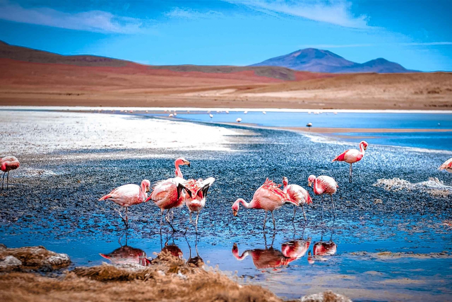 La Pazista: San Pedro de Atacama w/Salt Flats - 4 päivän matka