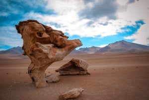 Da La Paz: Escursione di 4 giorni a San Pedro de Atacama e alle Saline