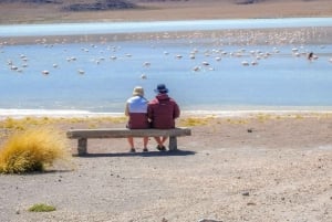 From La Paz: 5-Day Death Road & Uyuni Salt Flats Bike Tour