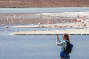 Z La Paz: 5-dniowa wycieczka do Uyuni i Czerwonej Laguny z przejazdem autobusem