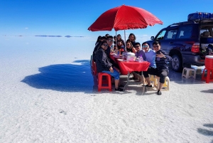 Fra La Paz: 5-dages tur til Uyuni og den røde lagune med bustur