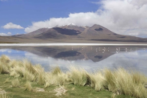 Depuis La Paz : Visite en bus 5D d'Uyuni et de la lagune rouge