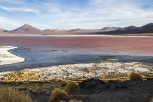 Vanuit La Paz: 5D Uyuni en Rode Lagune Tour per Bus