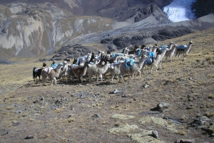 Da La Paz: Condoriri Andes, Pico Austria Escursione di un'intera giornata