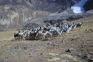 Depuis La Paz : Parc national du Condoriri : visite d'une jounée de randonnée