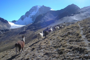 De La Paz: Excursão de 1 dia para caminhada no Parque Nacional Condoriri