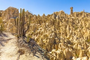 Van La Paz: dagtocht naar Chacaltaya en Moon Valley