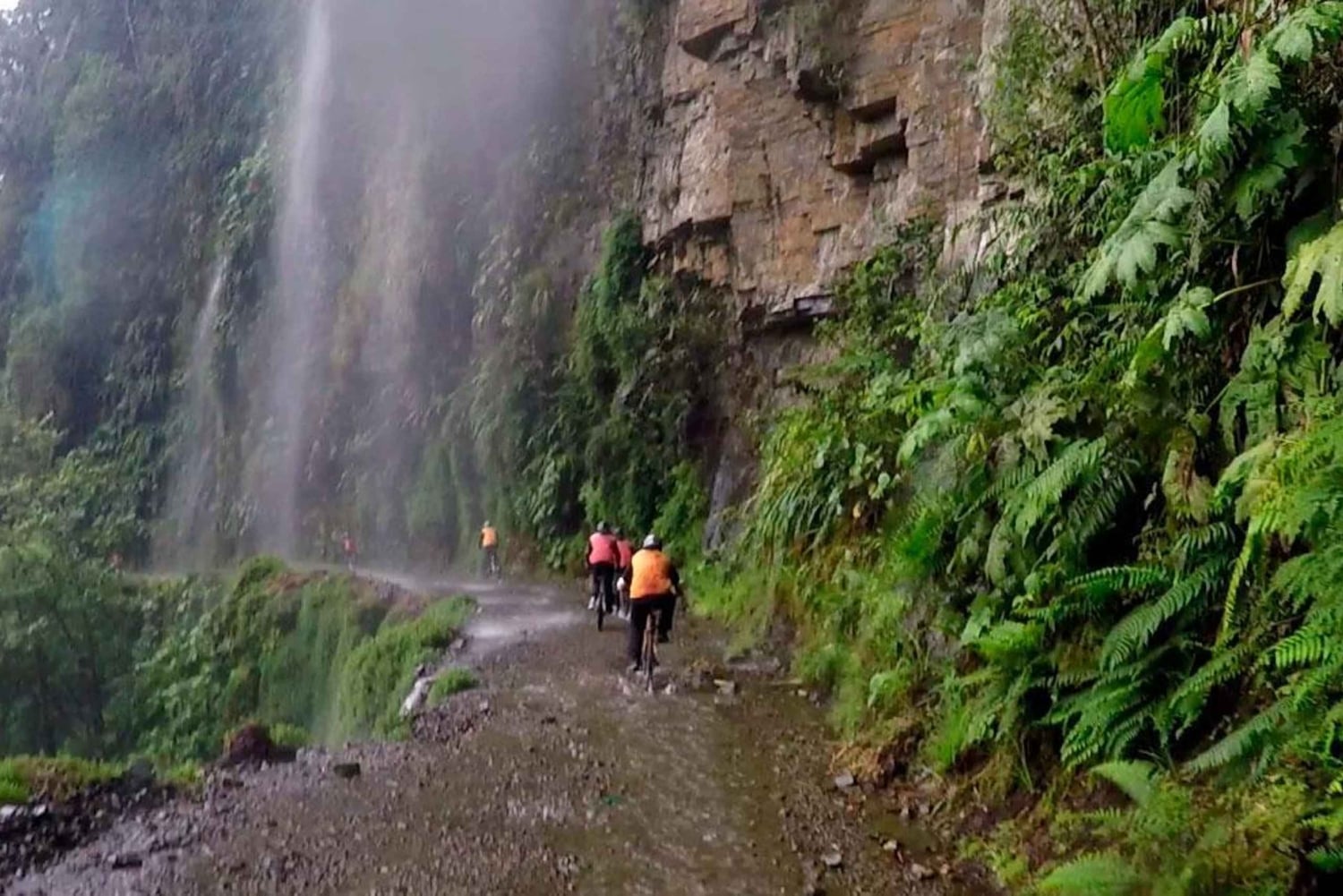 Fra La Paz: Dødsruten på mountainbike Tur med guide