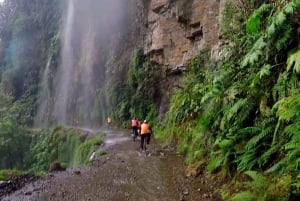 Fra La Paz: Dødsruten på mountainbike Tur med guide