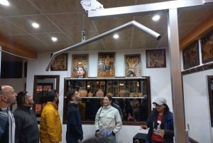 Vanuit La Paz: rondleiding door de Cholitas-kunsthal en een show met worstelen