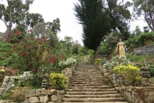 From La Paz: Lake Titicaca and Copacabana Private Tour