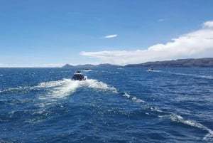 From La Paz: Lake Titicaca and Island of the Sun Day Trip