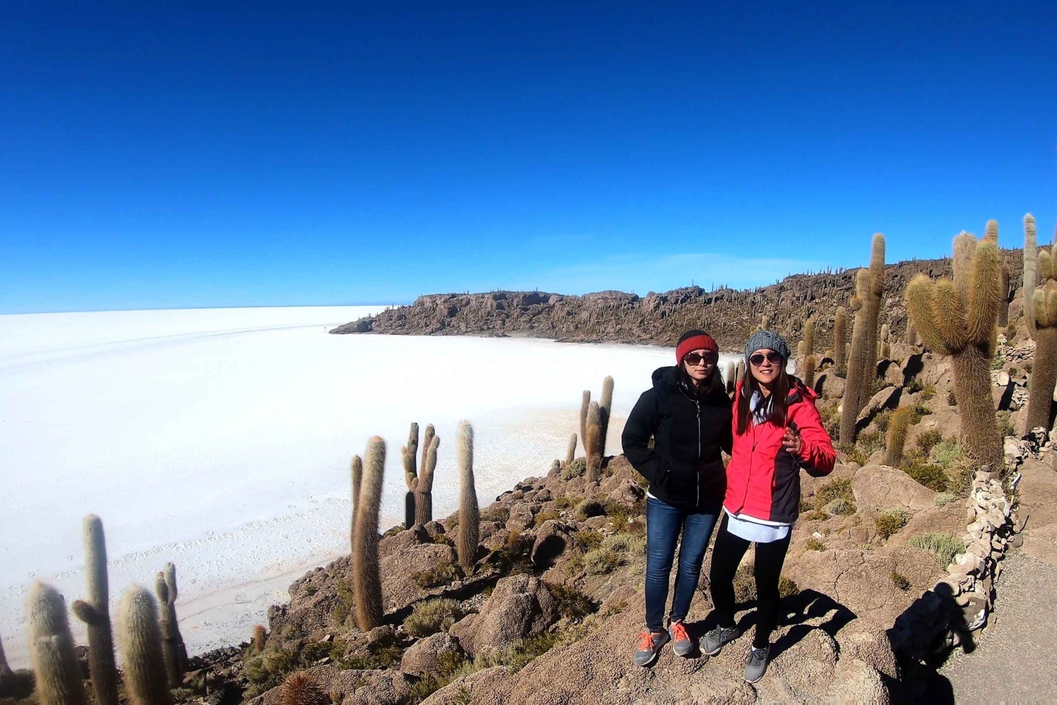 De La Paz: Viagem panorâmica de 4 dias pelas salinas de Sajama e Uyuni