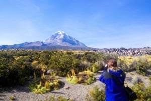De La Paz: Viagem panorâmica de 4 dias pelas salinas de Sajama e Uyuni