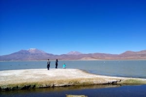 De La Paz: Viagem panorâmica de 4 dias pelas salinas de Sajama e Uyuni