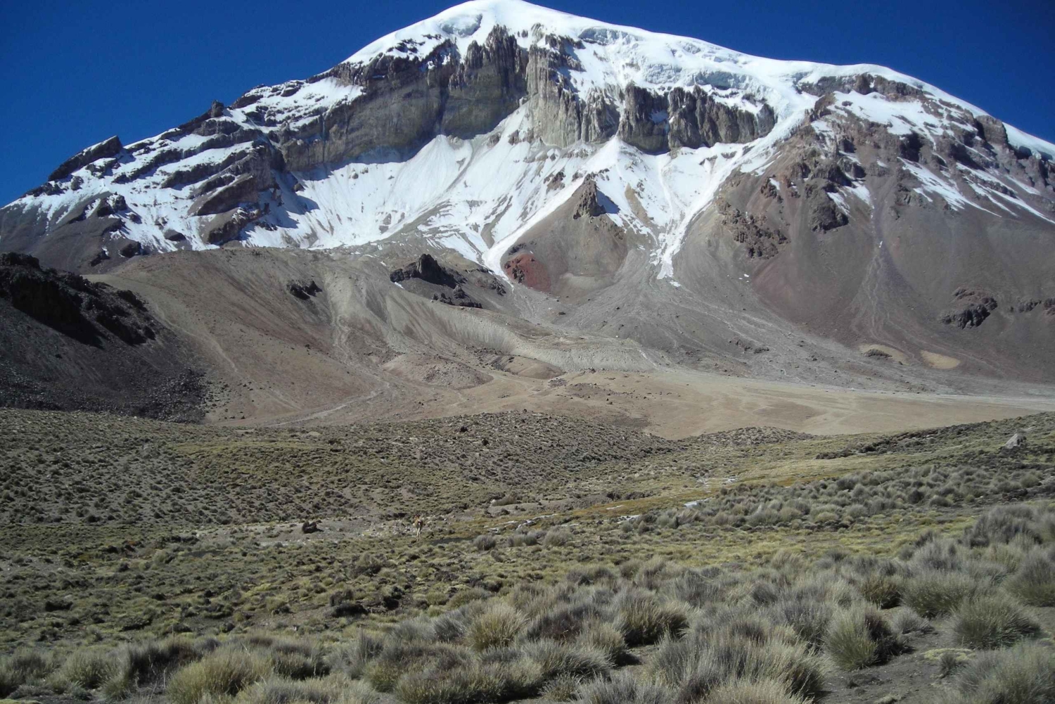 Fra La Paz: Sajama, Uyuni-saltsletterne, San Pedro de Atacama