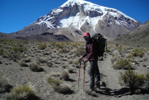 Fra La Paz: Sajama, Uyuni-saltsletterne, San Pedro de Atacama