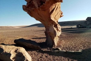 Fra La Paz: Sajama, Uyuni-saltsletterne, San Pedro de Atacama