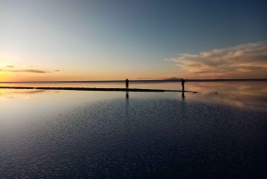 Fra La Paz: Sajama, Uyuni-saltsletterne, San Pedro de Atacama