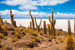 Desde La Paz: Salar de Uyuni 2D/1N Todo Incluido