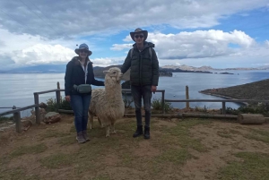 From La Paz: Tihuanacu & Titicaca Lake in one day with lunch