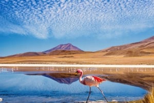 From La Paz to Atacama: 4-Day Tour to Salar de Uyuni