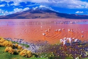 From La Paz to Atacama: Uyuni Salt Flats 4-Day Tour