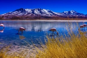 From La Paz to Atacama: Uyuni Salt Flats 4-Day Tour