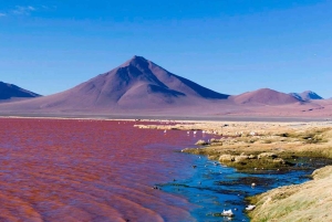Fra La Paz til Atacama: Uyuni Salt Flats 4-dages tur