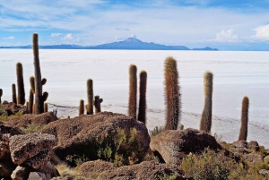 Van La Paz naar La Paz: Uyuni Zoutvlakte Tour 1D + Nachtbussen