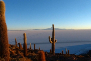 De La Paz à La Paz : Visite nocturne des salines d'Uyuni 1D + bus de nuit