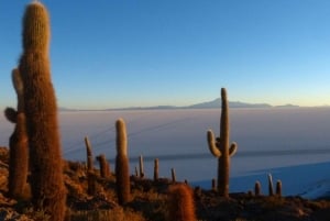 Fra La Paz til La Paz: Uyuni Salt Flat Tour 1D + aftentur med busser