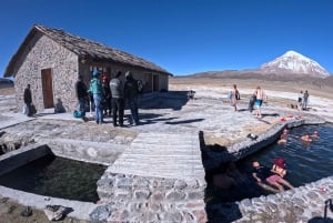 From La Paz: Tour guide-led tour of Sajama Park