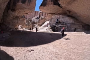From La Paz: Tour guide-led tour of Sajama Park