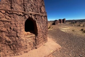 From La Paz: Tour guide-led tour of Sajama Park