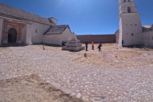From La Paz: Tour guide-led tour of Sajama Park