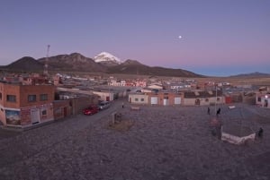 From La Paz: Tour guide-led tour of Sajama Park