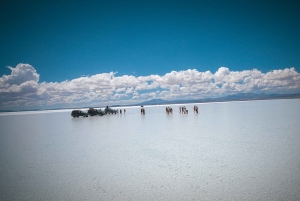 Från La Paz: Uyuni och Andinska lagunerna 5-dagars guidad tur