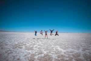 From La Paz: Uyuni and Andean Lagoons 5-Day Guided Trip