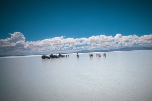 From La Paz: Uyuni and Andean Lagoons 5-Day Guided Trip