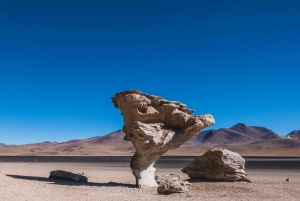 Från La Paz: Uyuni och Röda lagunen med busstur |5-dagarsutflykt