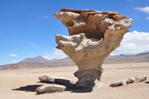 Depuis La Paz : Le salar d'Uyuni et San Pedro de Atacama 3 jours