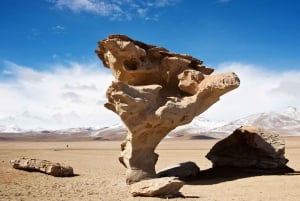 Vanuit La Paz | Zoutvlakte van Uyuni en San Pedro de Atacama | 3D