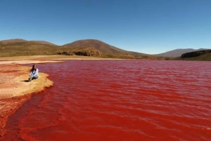 Vanuit La Paz | Zoutvlakte van Uyuni en San Pedro de Atacama | 3D